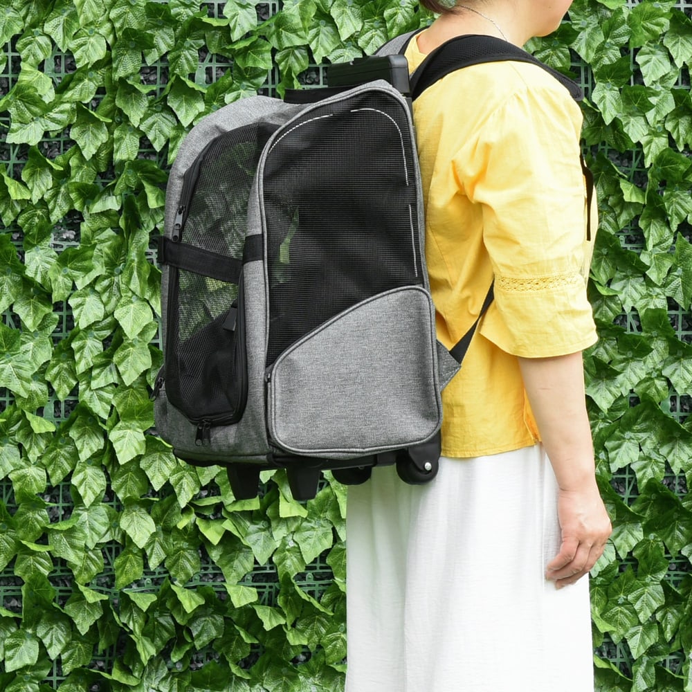 Grey pet carrier backpack being pulled along by a person outdoors