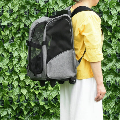 Grey pet carrier backpack being pulled along by a person outdoors