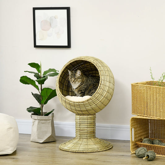 A tabby cat sits inside the natural mat grass cat bed, which is placed in a room with a plant and storage baskets