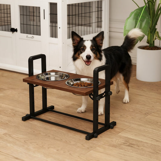 A medium sized dog stands next to the raised dog bowls with stand, looking at the camera