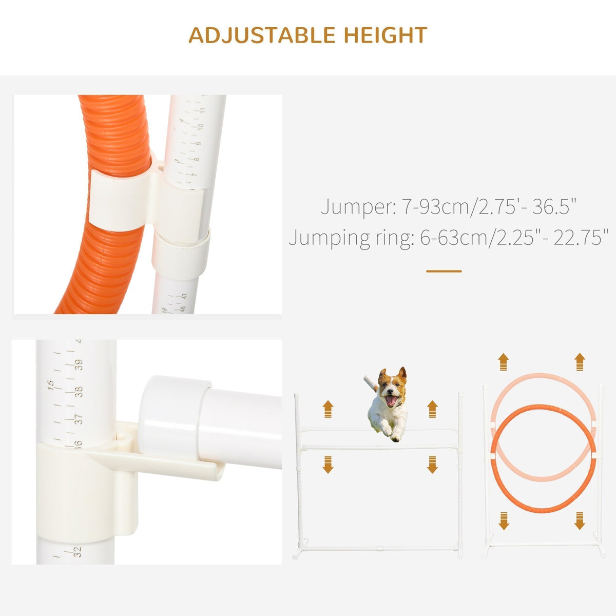 Close up of adjustable height settings on the dog agility equipment jumper and jumping ring