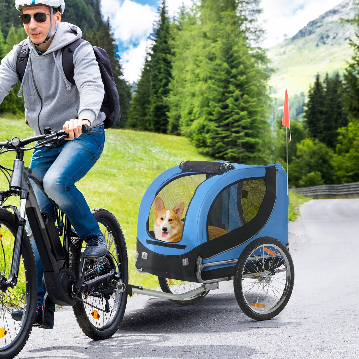 A man rides a bicycle with a blue and black dog trailer attached, a dog peeking out