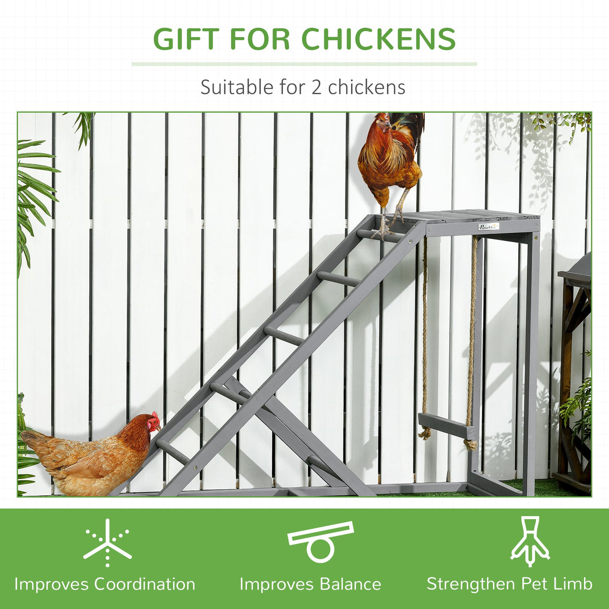 The activity shelf in use with chickens climbing and playing to improve their coordination