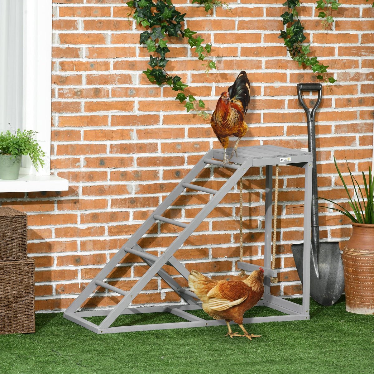 The wooden chicken toy placed on a garden lawn with two chickens interacting with the structure