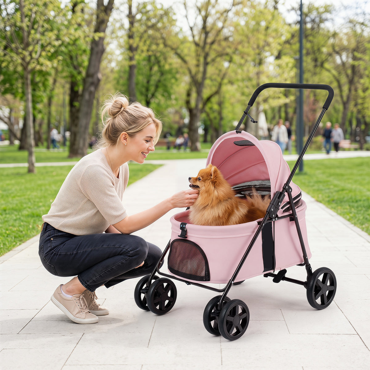 The dog stroller with a small dog inside being petted by a woman in a park setting