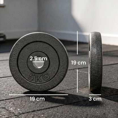 SPORTNOW Weight Plates Set, 1"/2.5cm Weight Disc Pair, 4 x 5kg Metal Dumbbell/Barbell Plates for Home Gym