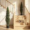 HOMCOM Set of 2 Decorative Artificial Plants Cypress in Weighted Pot, Fake Plant with 2035 Leaves, 150 cm
