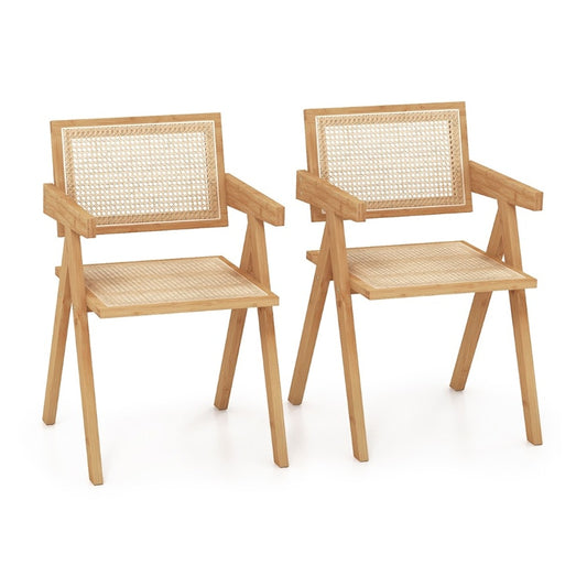 Rattan Accent Chairs Set of 2 with natural bamboo frame
