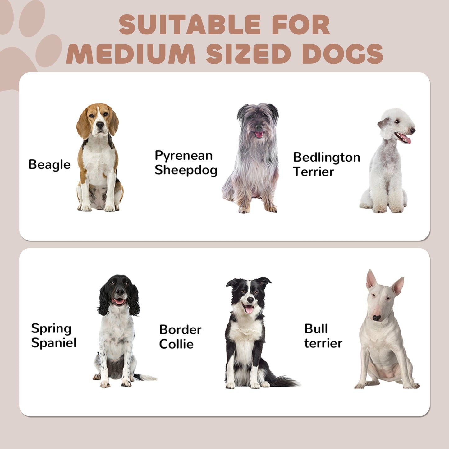 PawHut Pet Feeding Station with Raised Dog Bowls, Adjustable Panel, Hooks, Black