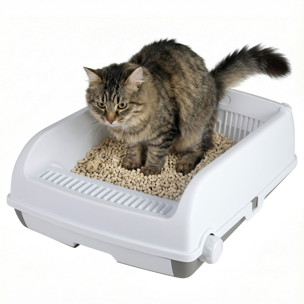 Semi-auto Open-top Cat Litter Box with a cat inside using it