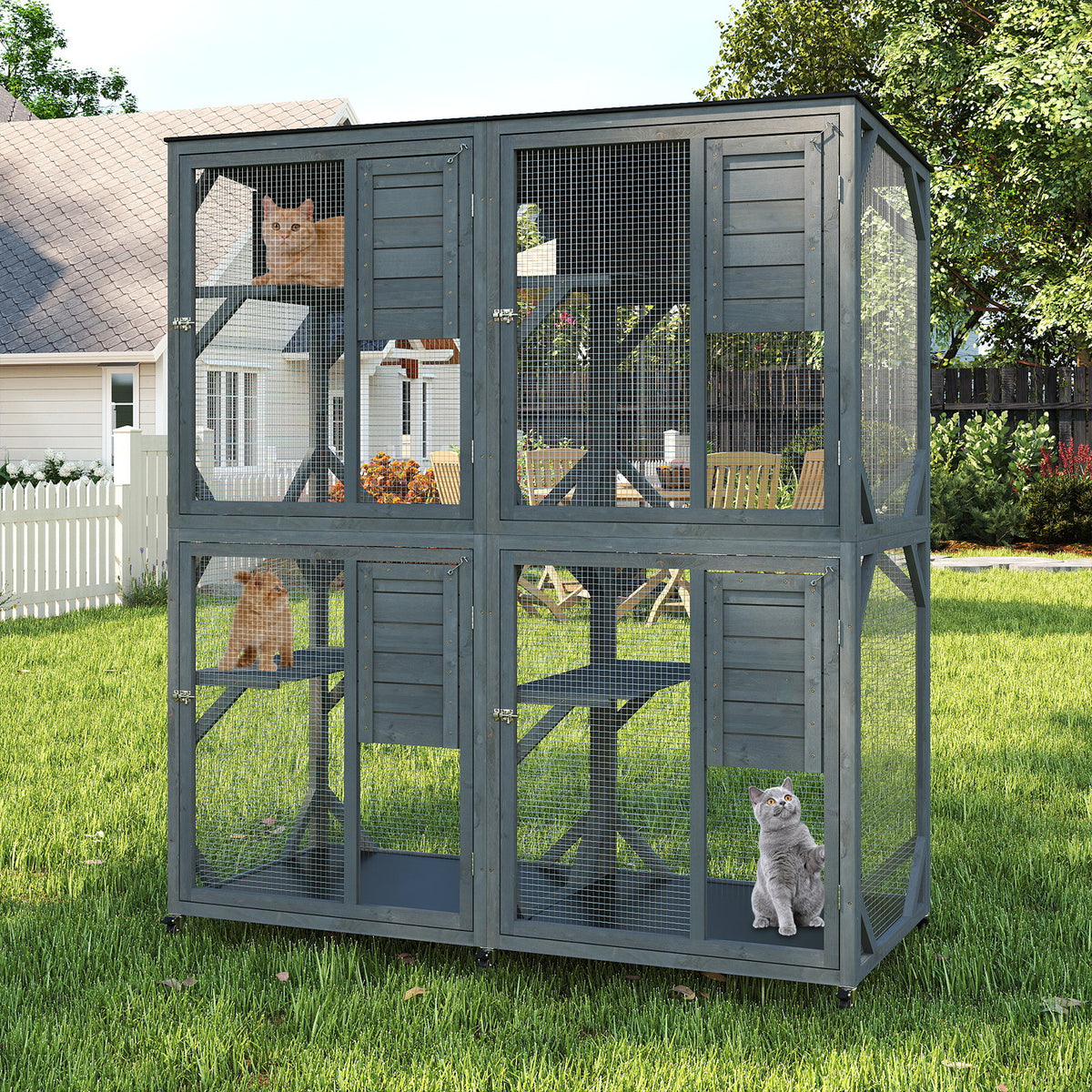 Spacious outdoor cat enclosure with cats playing on the platforms in a garden setting