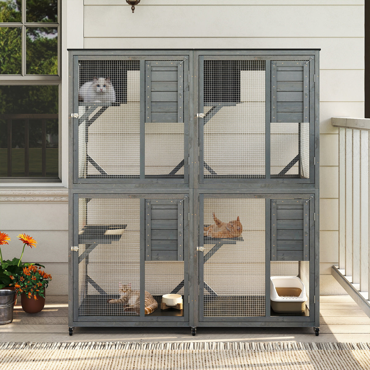 Outdoor cat enclosure with cats resting and eating on a patio