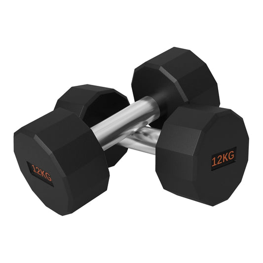 SPORTNOW Dumbbells Weights Set featuring two black 12-sided weights with metallic handles