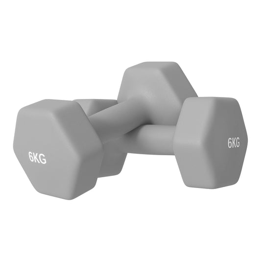 SPORTNOW 2 x 6kg Hexagonal Dumbbells Weights Set shown in a studio setting against a white background