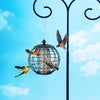 Squirrel-Proof Bird Feeder for Outdoor Hanging