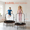 SPORTNOW 40