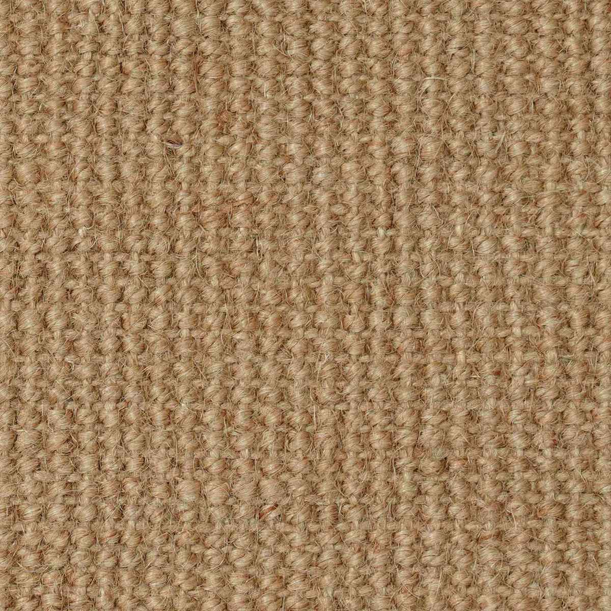 Area Jute