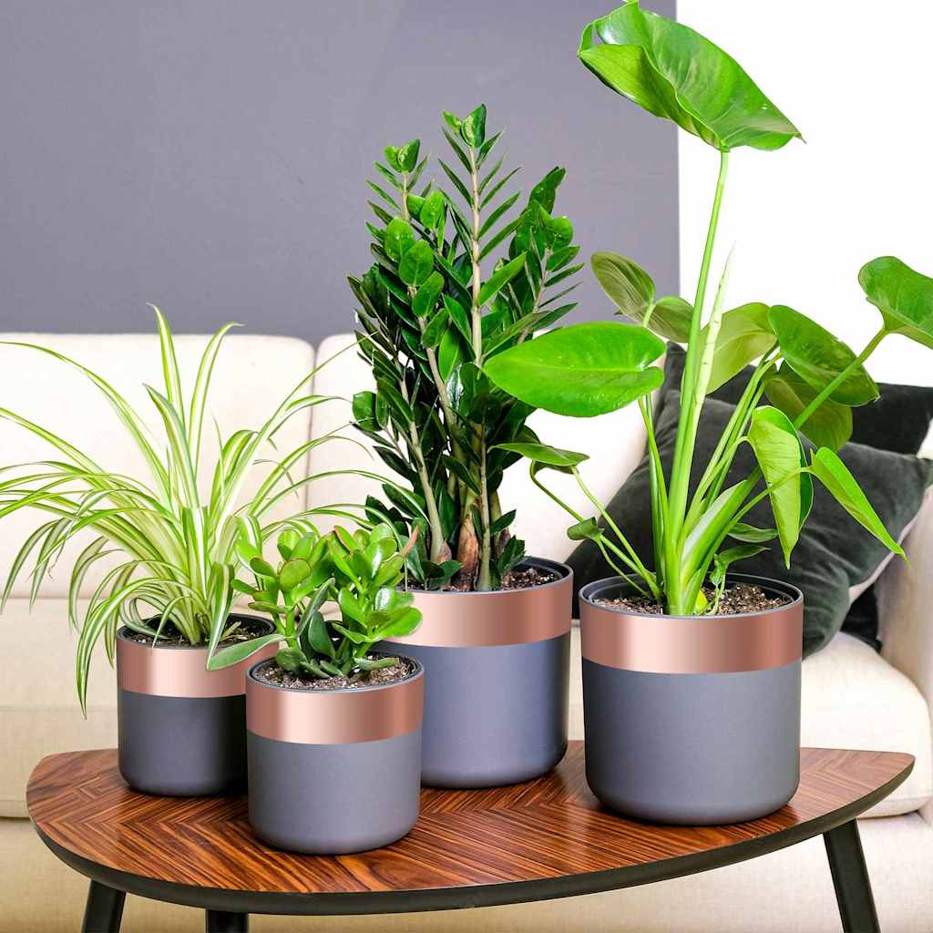 vidaXL Double-Sided Copper Tape for Snail Protection 6 pcs shown in a domestic setting with potted plants
