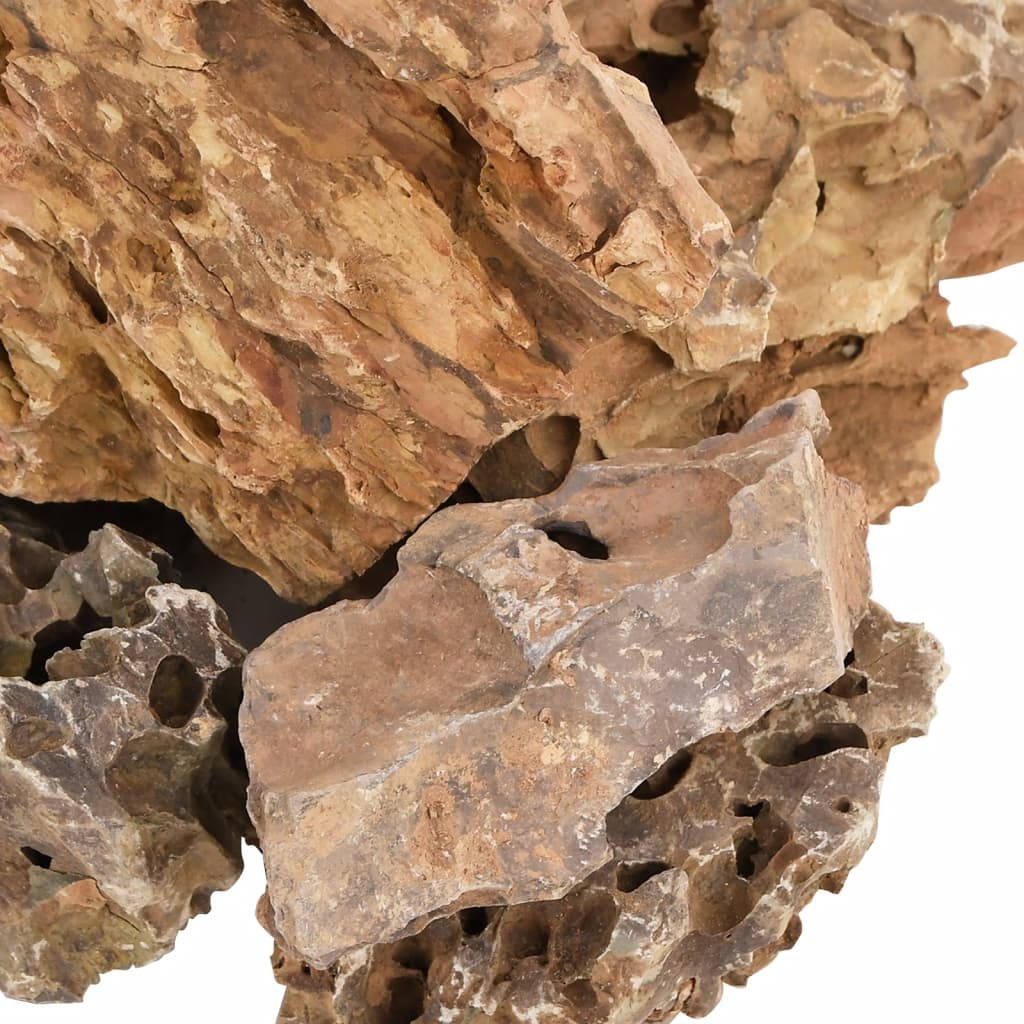 Detailed view of the rough, textured surface of a dragon stone, showing its natural brown colour