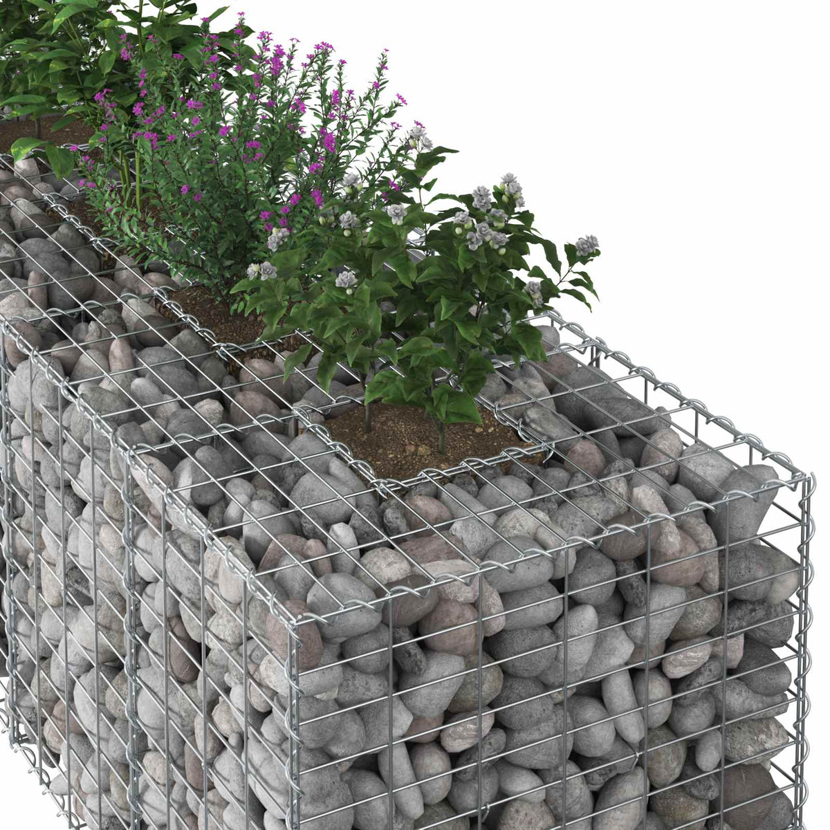 the gabion planter, a close-up showing the wire mesh filled with pebbles and small plants