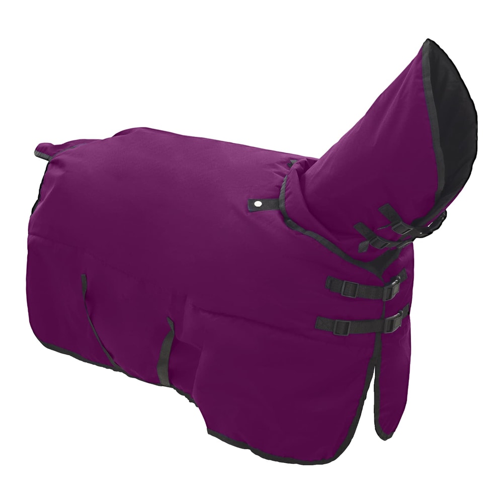 The horse blanket viewed from a high angle showing the neck cover and chest buckles