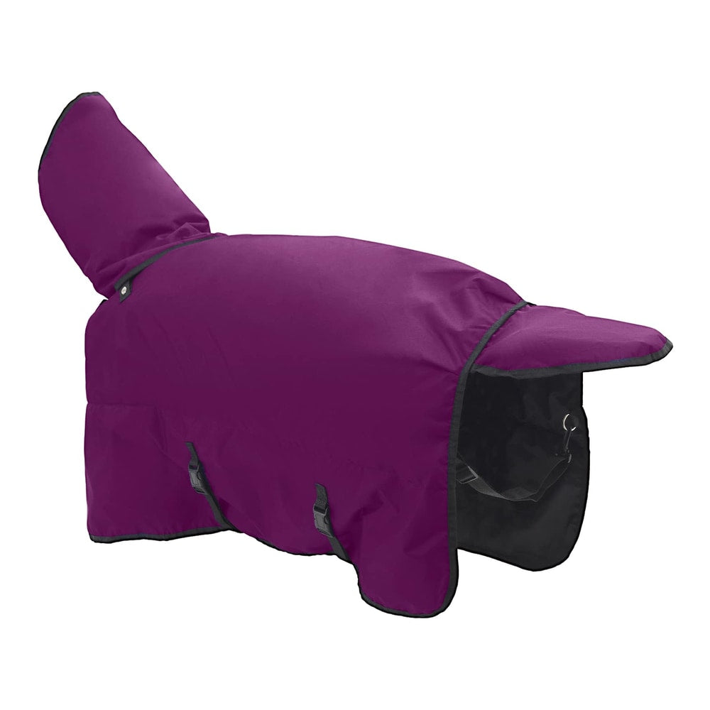 The horse blanket seen from the rear showing the tail flap and back leg straps