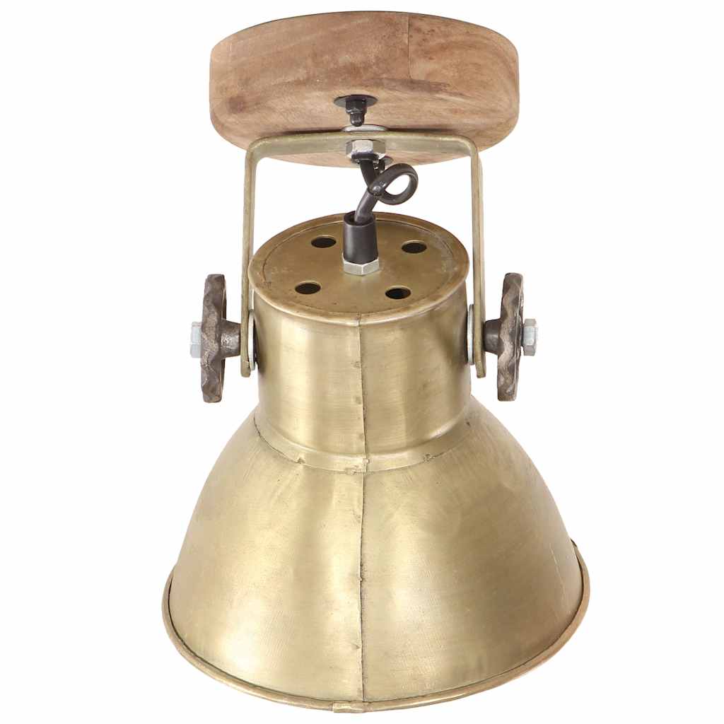 Underside view of a brass industrial ceiling lamp with wooden base