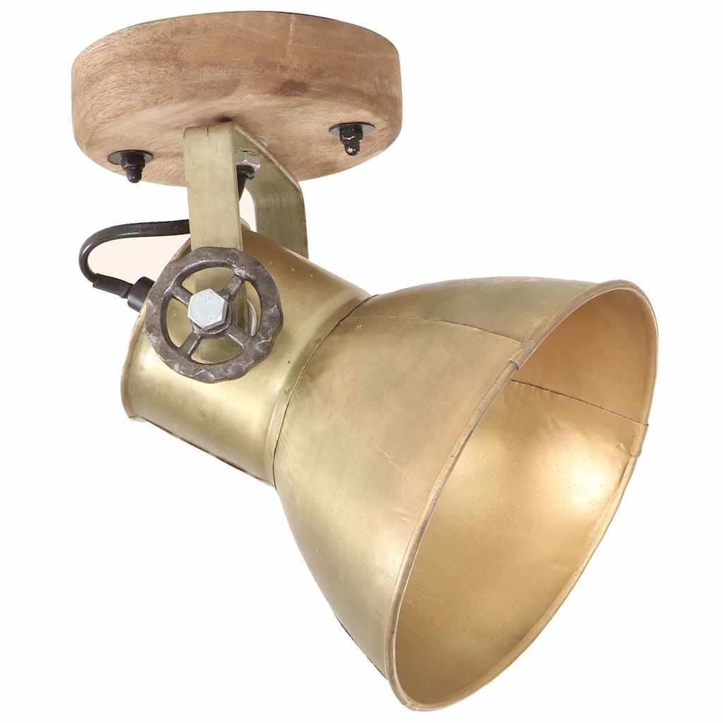 Close-up of an industrial wall lamp spotlight head and wooden base