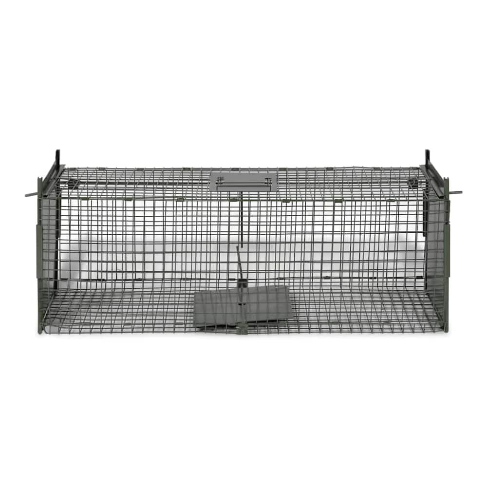 A wire mesh animal trap with a single door and a trigger plate visible