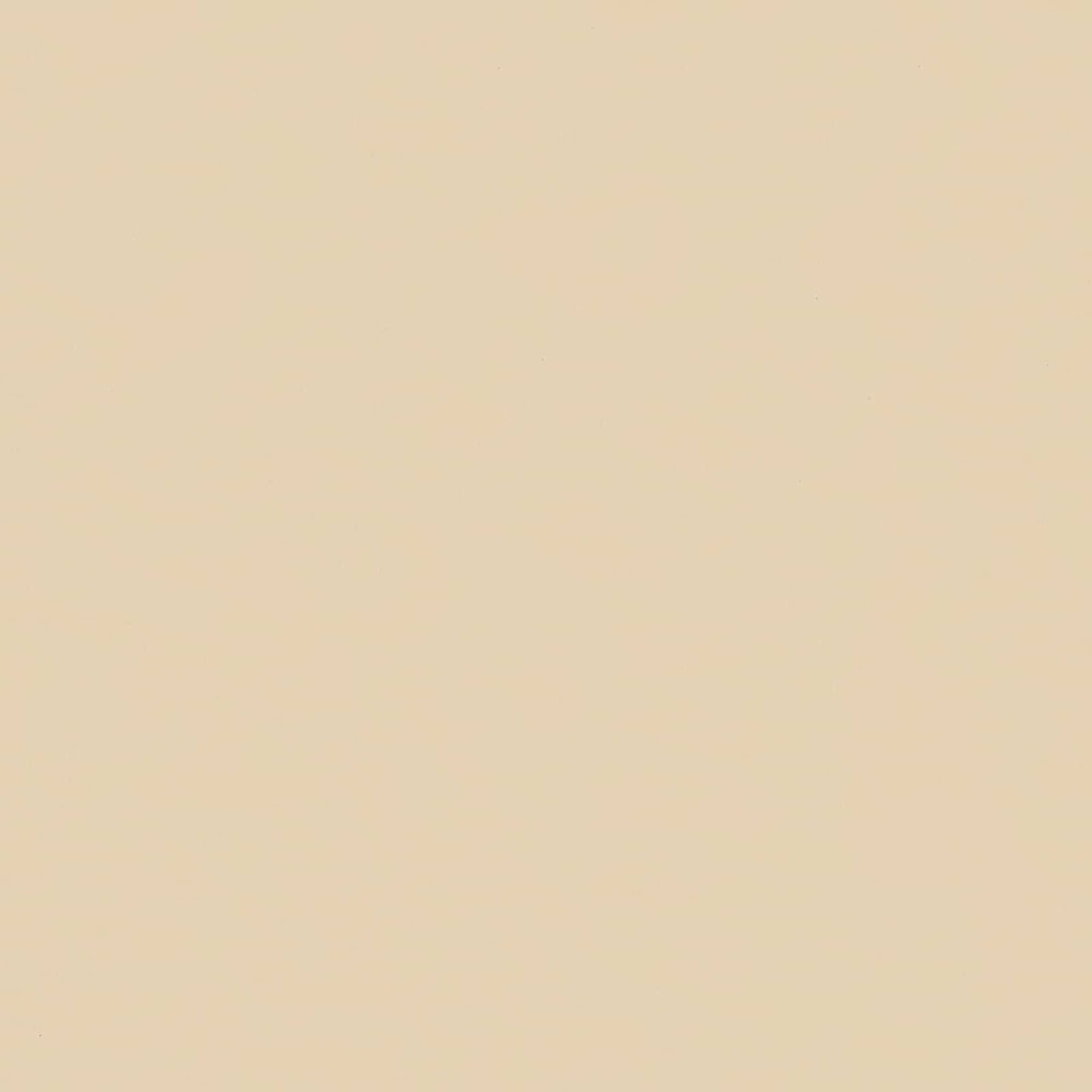 a plain ivory coloured panel from the raised garden bed
