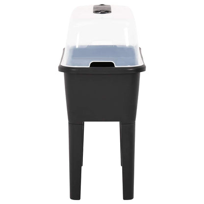 The raised garden planter seen from the narrow end with its tall legs and clear lid