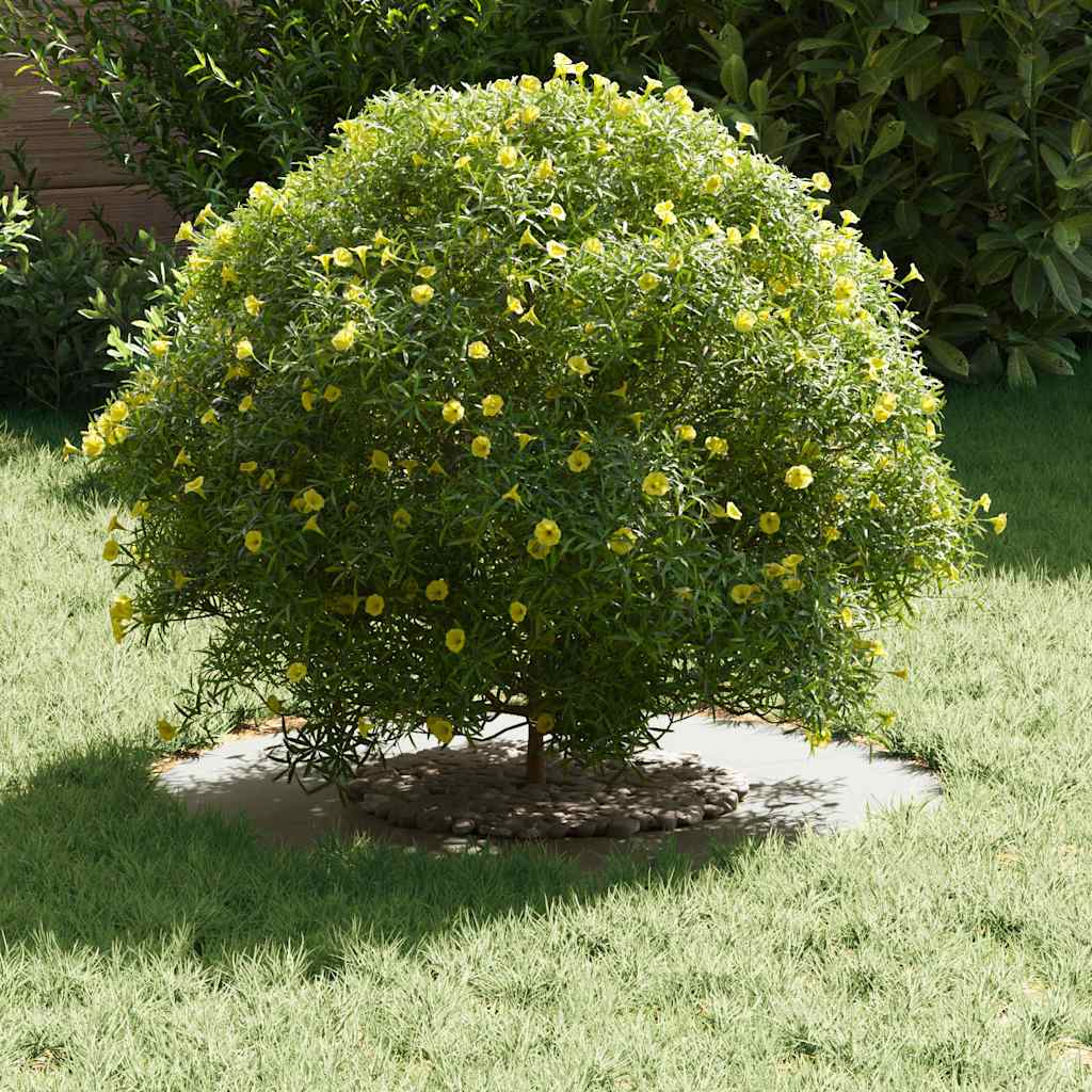 white flat tree ring surrounding a flowering bush on grass