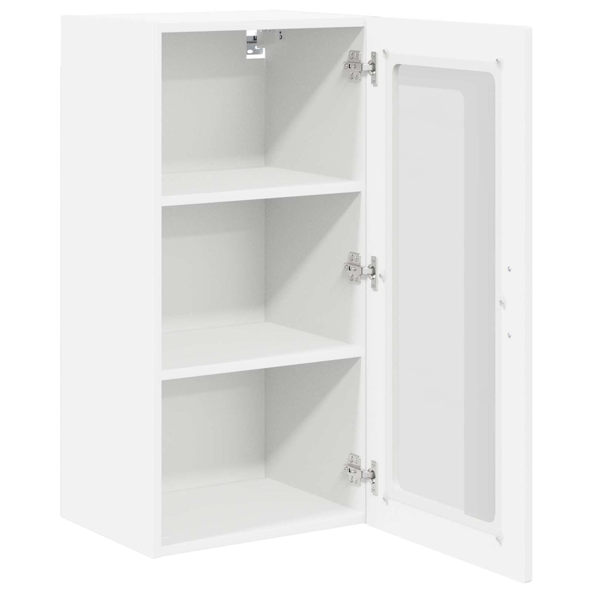 The open cabinet showing its interior shelves and hinges