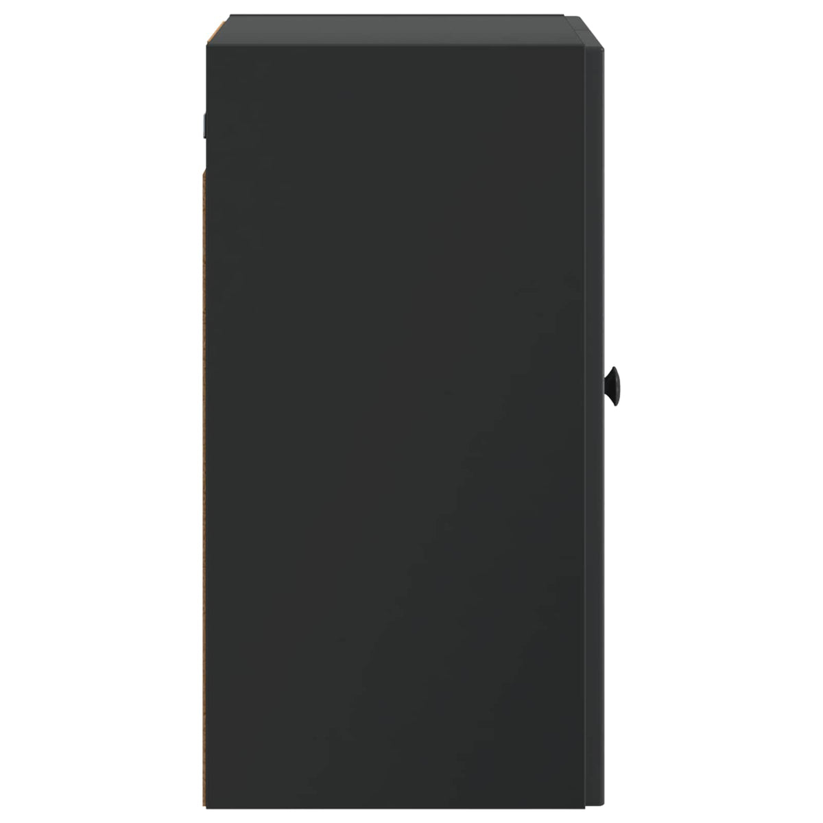 The side profile of the black wall cabinet showing the flat panel and small round door knob