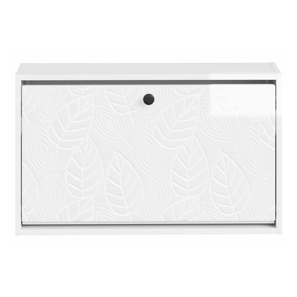 The wall-mounted shoe cabinet from the front, with the door closed and a black handle