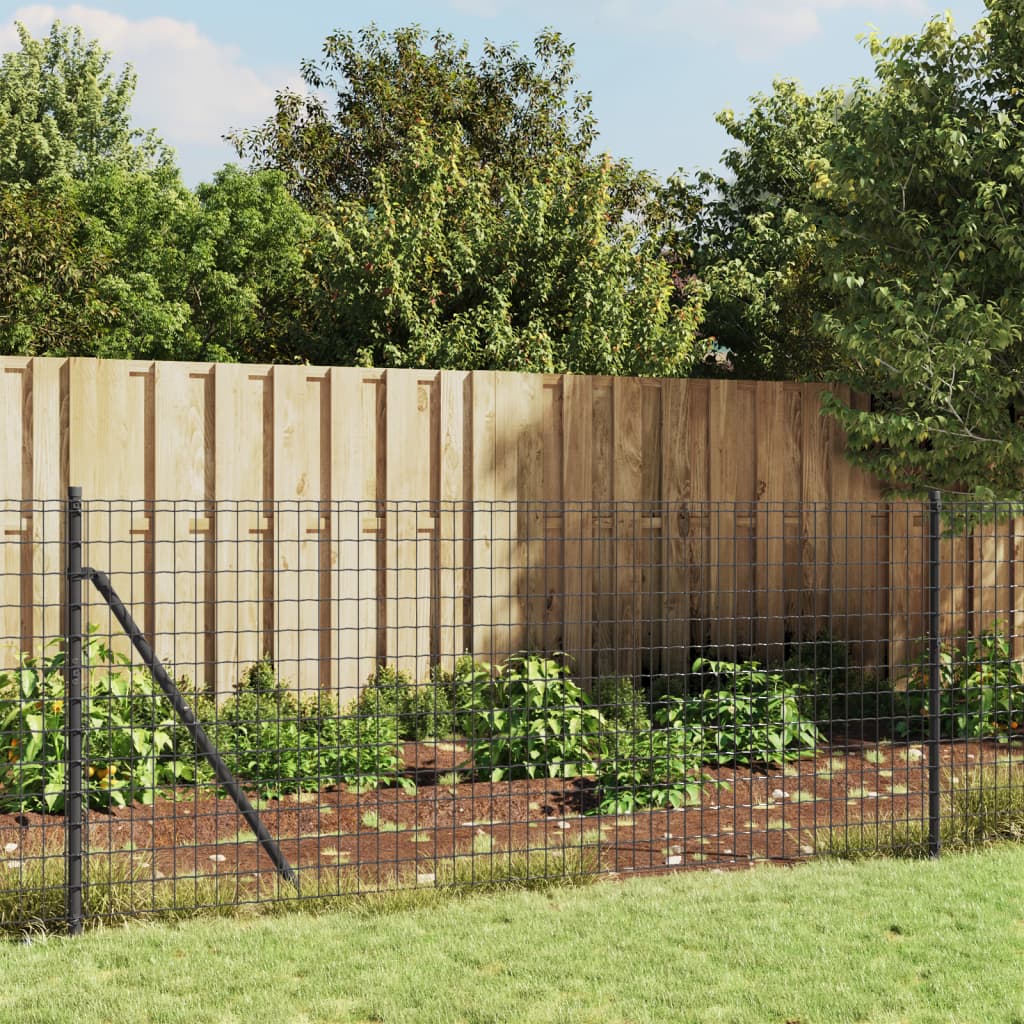 Wire Mesh Fence Anthracite
