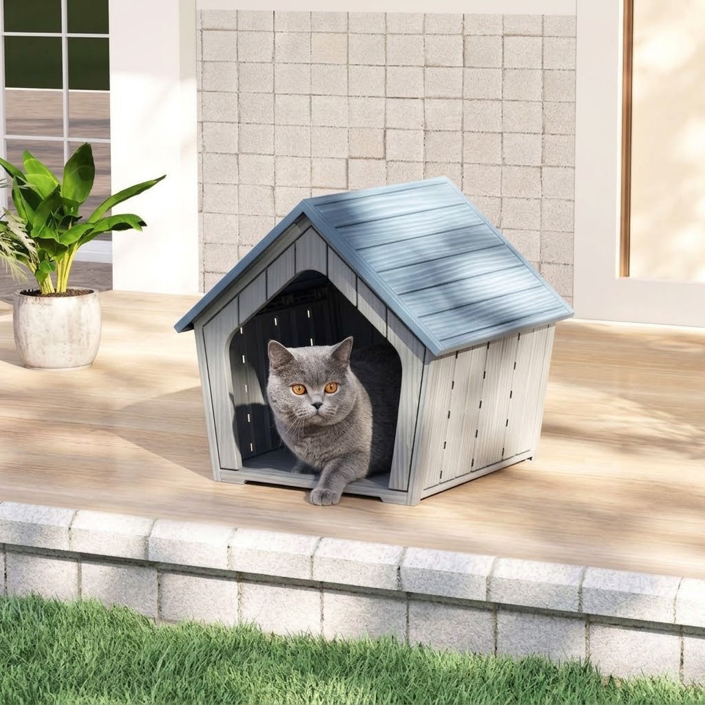 A grey cat looks out from the entrance of the blue and grey plastic cat house