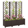 Outsunny Raised Garden Bed with Trellis, Plastic Planter Box with Drainage Holes, Drain Plugs and Water Reservoirs for Climbing Plants, Vegetables, Flowers, Brown