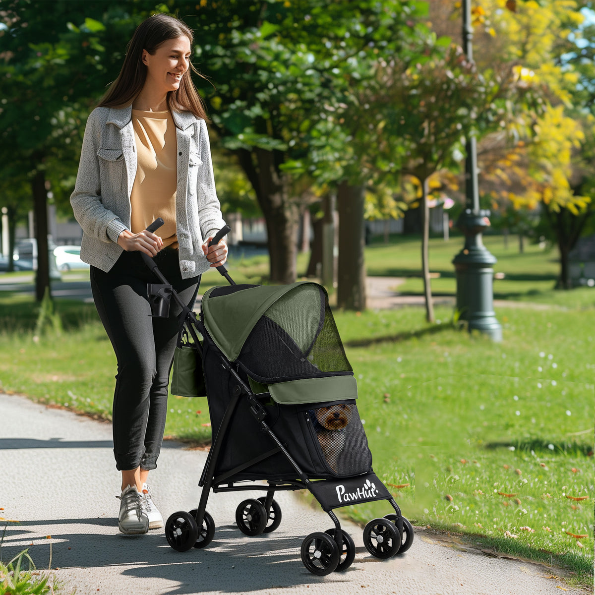 PawHut Foldable Dog Stroller in Dark Green